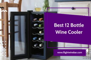 12 Bottle Wine Cooler
