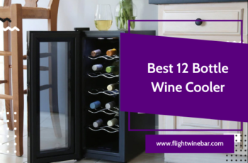 12 Bottle Wine Cooler Reviews In 2022 – Is It Worth Buying?