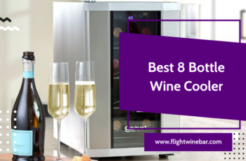 Best 8 Bottle Wine Cooler 2022 – Top 8 Bottle Wine Coolers to Buy