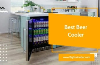 🥇[TOP 5] Best Beer Cooler Reviews in 2022