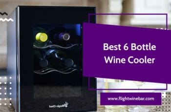 TOP 6 – The Best 6 Bottle Wine Cooler 2022: Reviews & Guide
