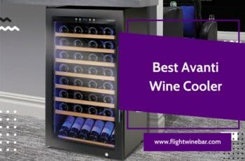 🥇[TOP 6] Best Avanti Wine Cooler Reviews in 2022