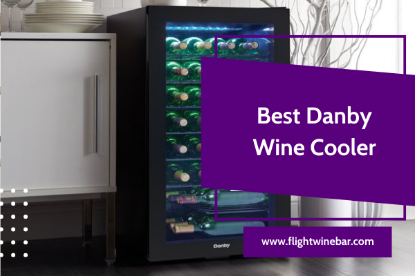 Best Danby Wine Cooler
