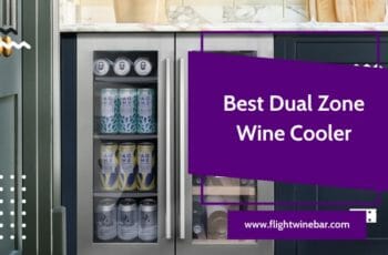 🥇[TOP 6] Best Dual Zone Wine Cooler Reviews in 2022