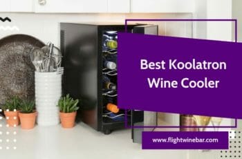 The 6 Best Koolatron Wine Cooler – Reviews & Buying Guides!