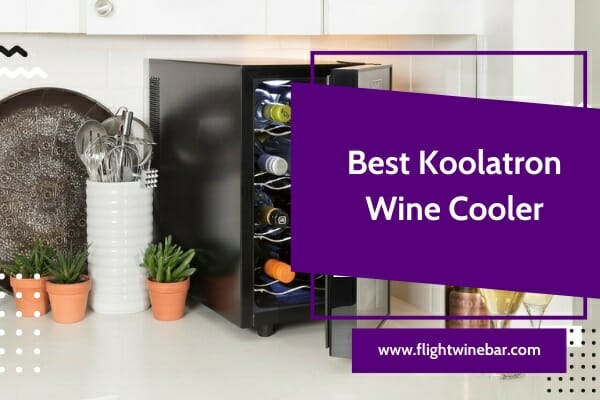 Best Koolatron Wine Cooler