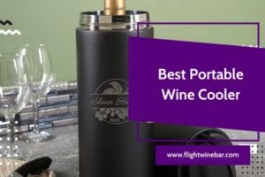 Best Portable Wine Cooler
