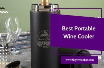 The 10 Best Portable Wine Coolers – Reviews & Buying Guides!