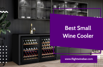 Best Small Wine Cooler in 2022 – Review of Top 10