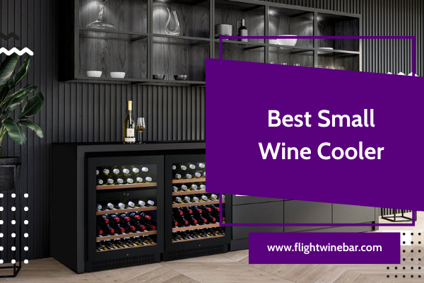 Best Small Wine Cooler