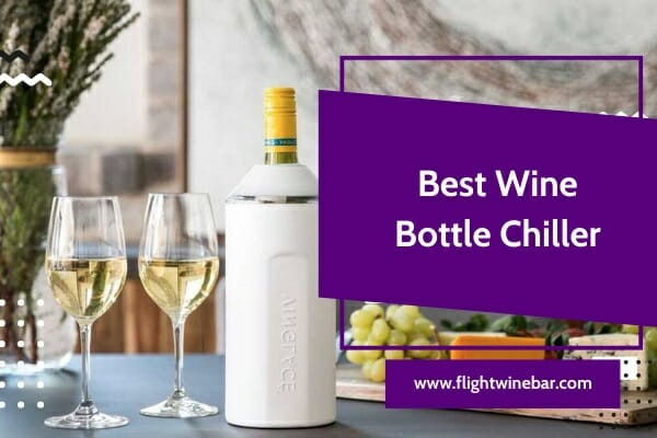 Best Wine Bottle Chiller