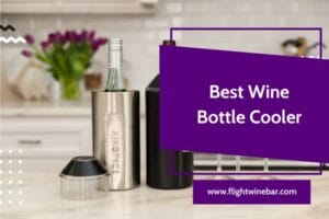 Best Wine Bottle Cooler
