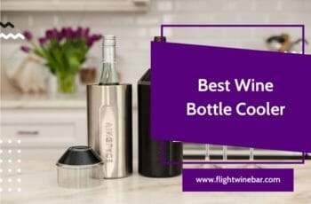 The 10 Best Wine Bottle Cooler In 2022 – Reviews and Buying Guide!