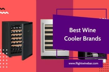 Top 12 Best Wine Cooler Brands in 2022 – The Best Answer for You
