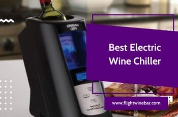 🥇The Best Electric Wine Chiller Reviews in 2022
