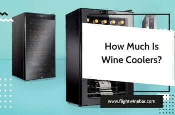 How Much Is Wine Coolers? How Much Do Wine Coolers Cost?