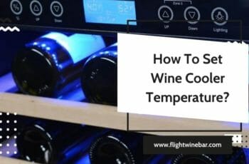 How To Set Wine Cooler Temperature? Set Temperature Store Wine