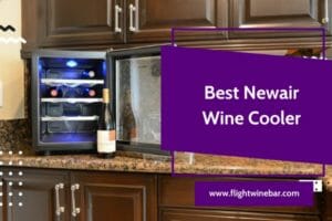Newair Wine Cooler