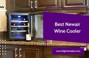 Top 5 The Best Newair Wine Cooler In 2022 – The Ultimate Guide