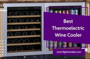 Top 10 Best Thermoelectric Wine Cooler in 2022 – The Best Answer for You!