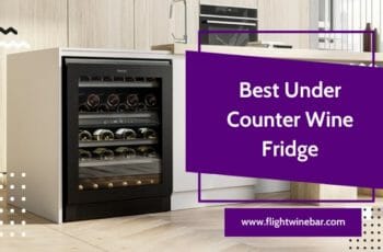 TOP 10 – Best Under Counter Wine Fridge Reviews 2022 – Advanced Tips