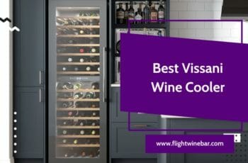 The 3 Best Vissani Wine Cooler in 2022 – Reviews and Buying Guide