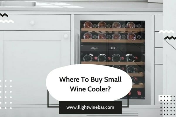 Where To Buy Small Wine Cooler