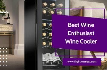 🥇[TOP 5] Best Wine Enthusiast Wine Cooler Reviews in 2022