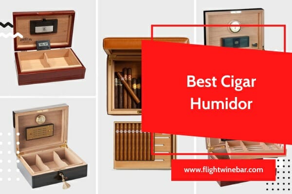 Best Cigar Humidor