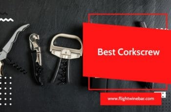 The 15 Best Corkscrew Reviews – Reviews & Buying Guides!