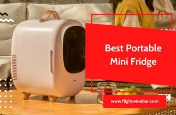 🥇[TOP 8] Best Portable Mini Fridge Reviews In 2022