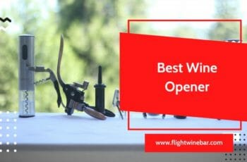 The 15 Best Wine Opener in 2022 – Reviews and Buying Guide