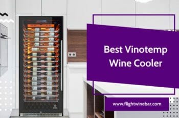 🥇[TOP 5] Best Vinotemp Wine Cooler Reviews In 2022