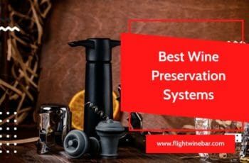🥇[TOP 10] Best Wine Preservation Systems Reviews In 2022
