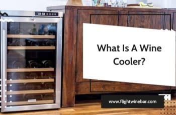 What Is A Wine Cooler? Benefits Of Using A Wine Cooler
