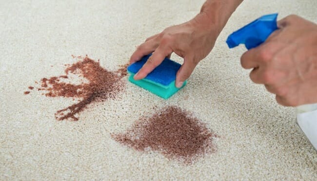 How to Remove Red Wine Stains from Carpet with Hydrogen Peroxide
