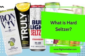 What is Hard Seltzer? How Many Hard Seltzer Brands Are There?