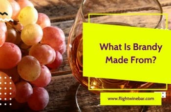 What Is Brandy Made From?