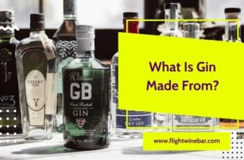 What Is Gin Made From? How Is Gin Made?