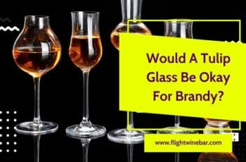 Would A Tulip Glass Be Okay For Brandy?