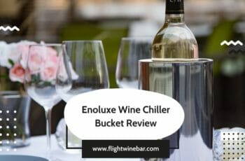 Enoluxe Wine Chiller Bucket Review