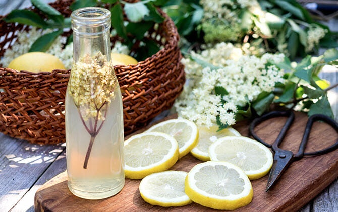 How Do You Stop Elderflower Champagne Fermenting