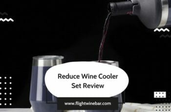Reduce Wine Bottle Cooler Set Review