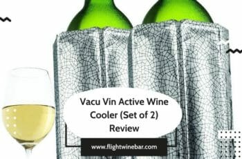 Vacu Vin Active Wine Cooler (Set of 2) Review