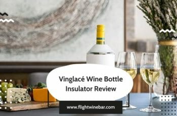 Vinglacé Wine Bottle Insulator Review