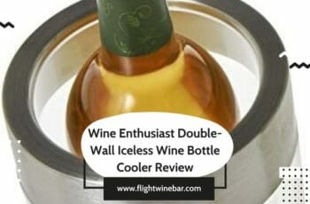 Wine Enthusiast Double-Wall Iceless Wine Bottle Cooler Review