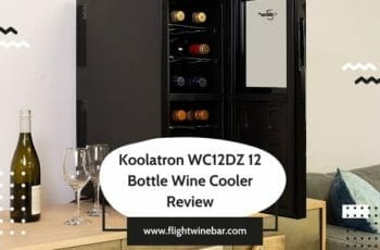 Koolatron WC12DZ 12 Bottle Wine Cooler Review