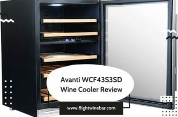 Avanti WCF43S3SD Wine Cooler Review