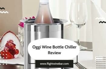 Oggi Wine Bottle Chiller Review