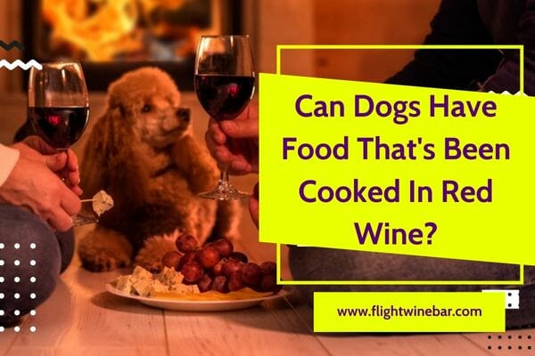 Can Dogs Have Food That's Been Cooked In Red Wine?